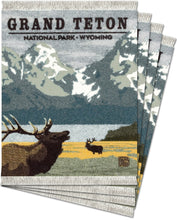 Load image into Gallery viewer, Grand Teton National Park CoasterRug Set