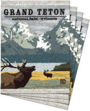 Load image into Gallery viewer, Grand Teton National Park Coaster Rug Set
